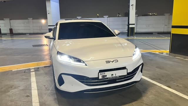 بي واي دي سيل 6 2026